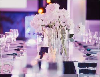 Dinner Parties and Gatherings